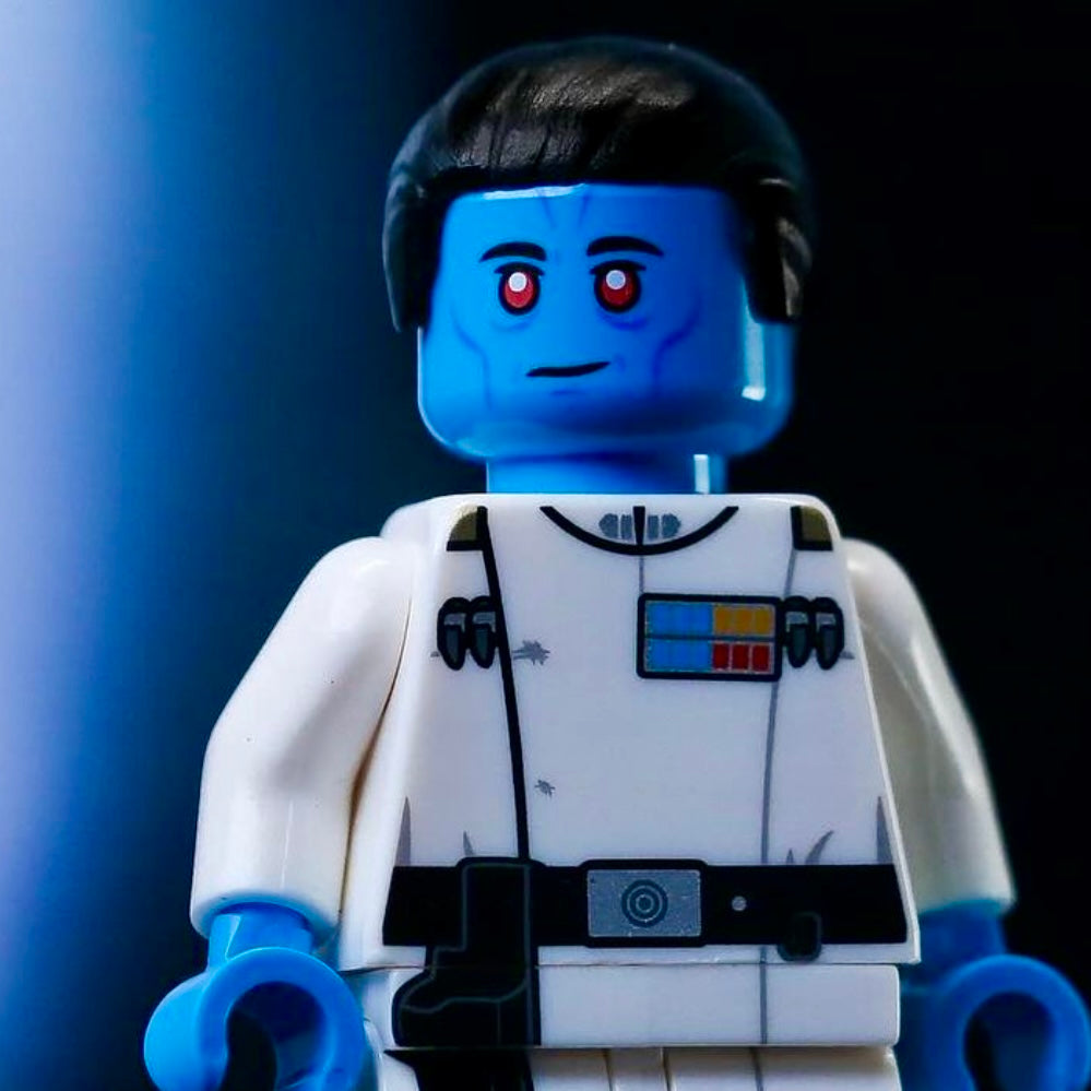 SALE - The Ruthless Admiral by Jaka Brick + miniBIGS [IN STOCK]