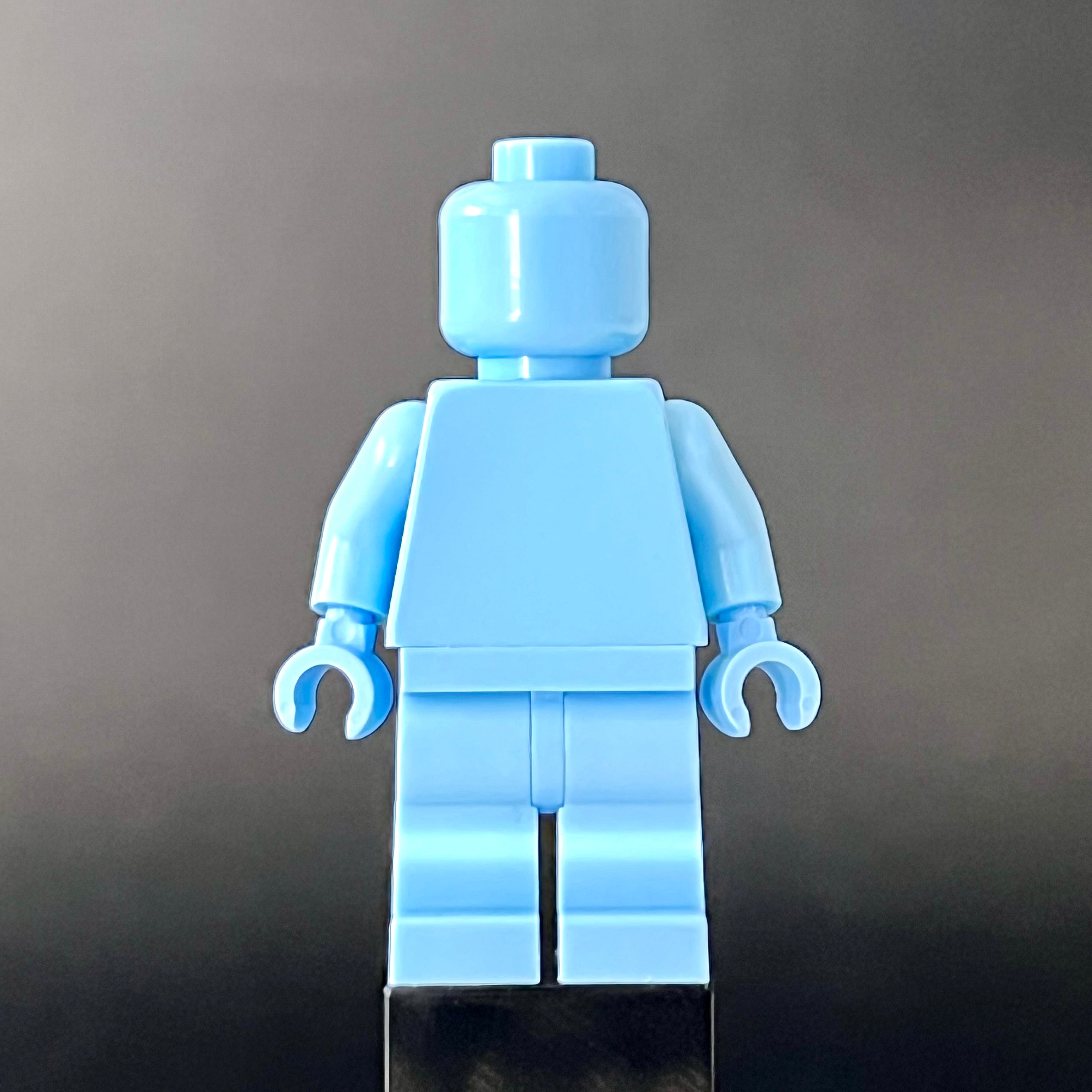 Light Blue Standard Monochrome Figure