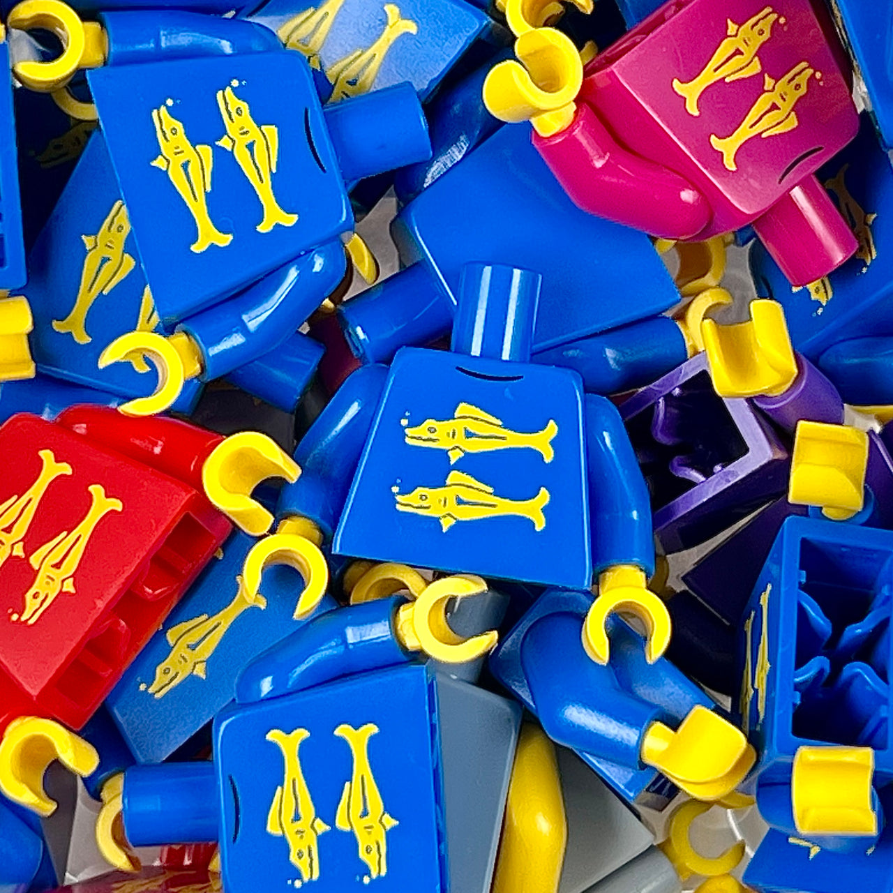 Blue Baracudas Torso