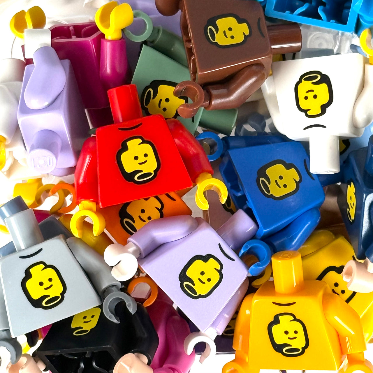 miniBIGS 2026 Torso