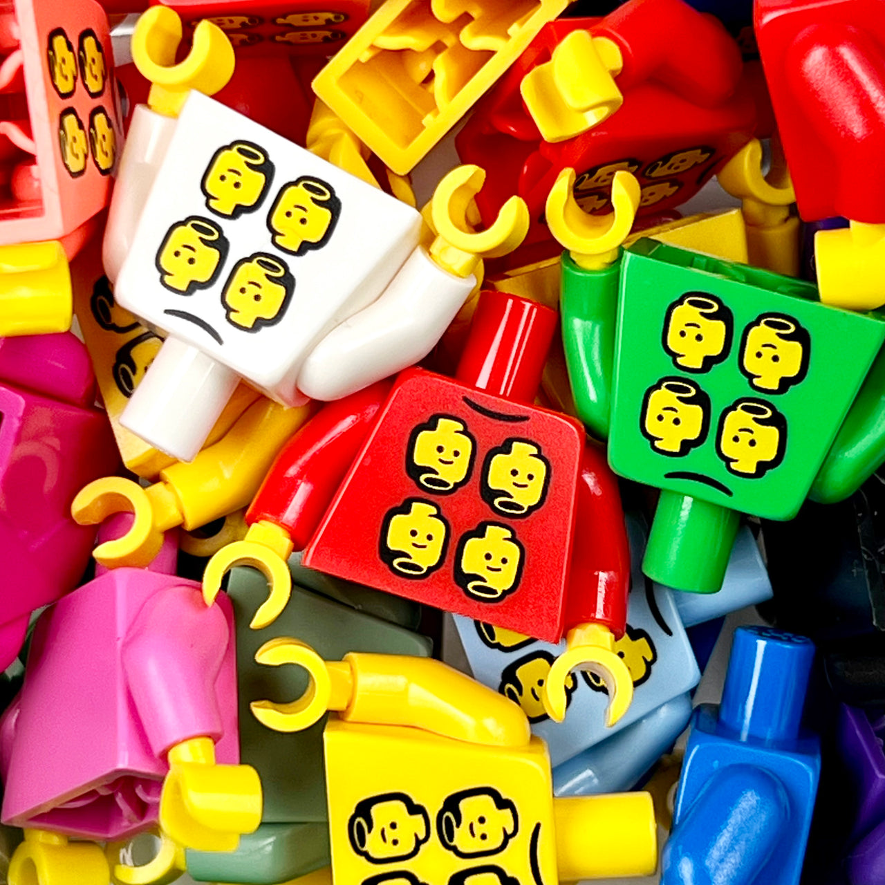 MiniBIGS 2025 Torso